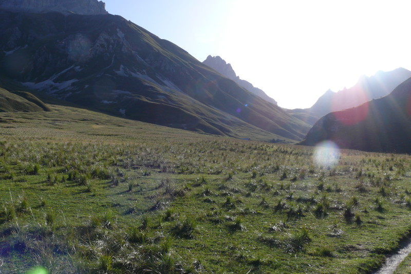 p1000670.jpg