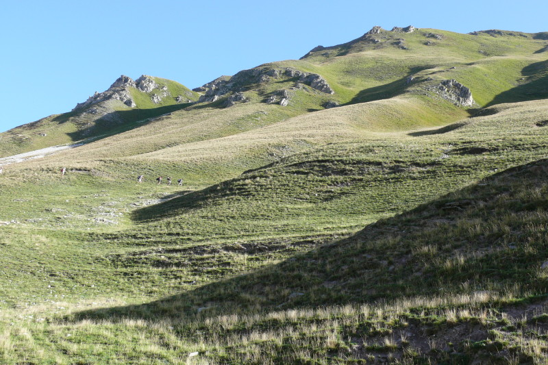 p1000677.jpg