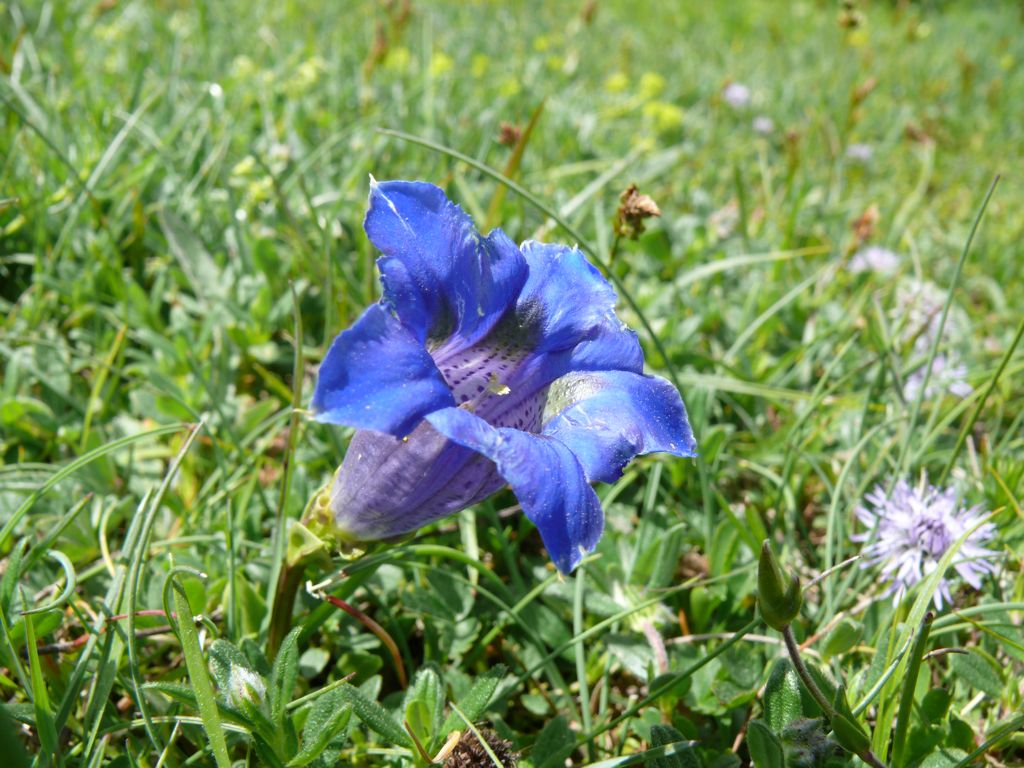 P1030573.JPG