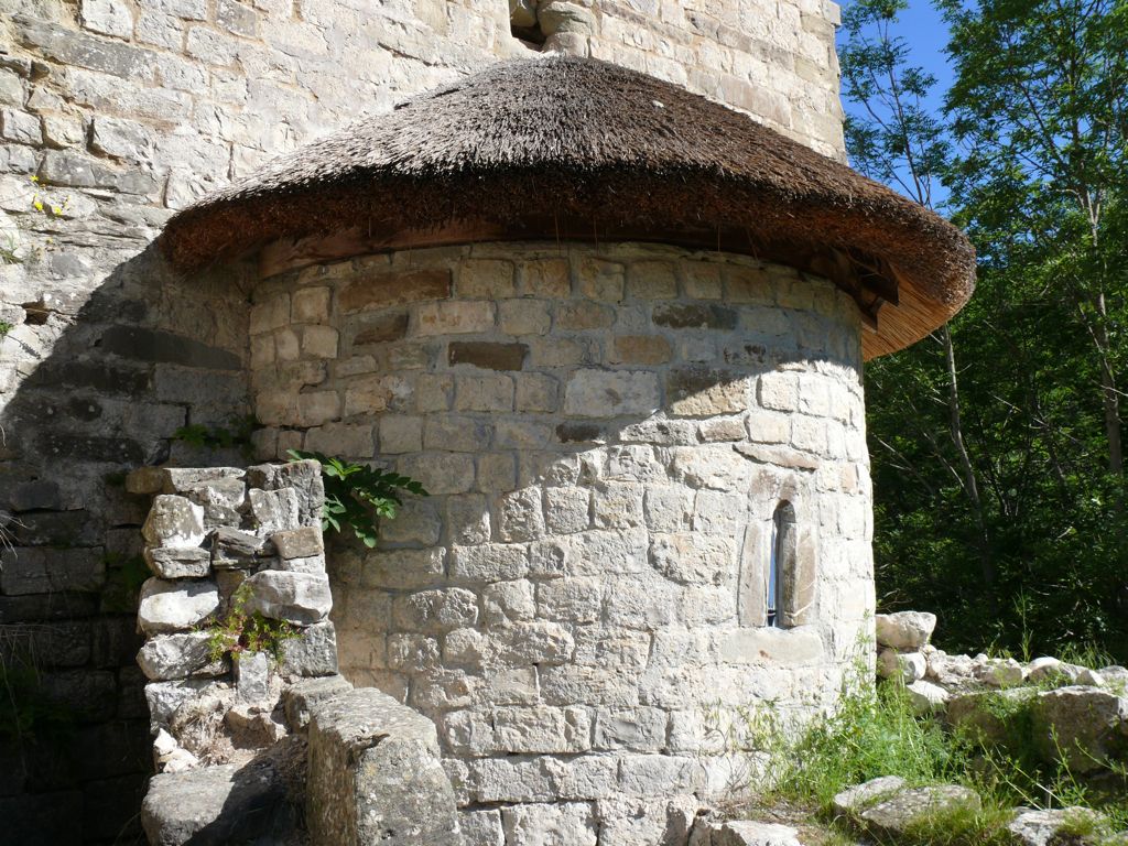 P1030616.JPG